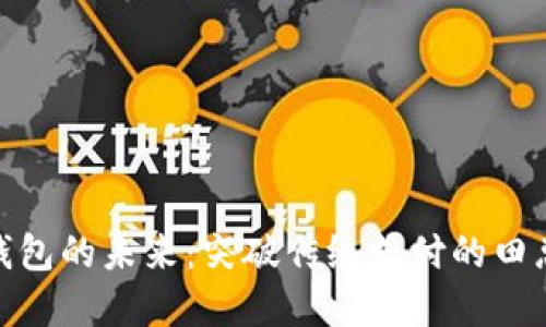 数字钱包的未来:突破传统支付的田总之路