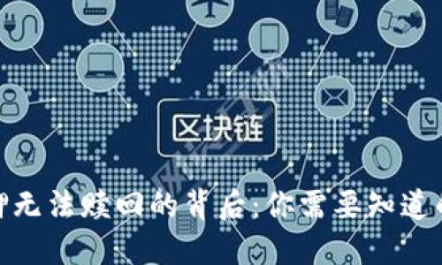 数字钱包货币质押无法赎回的背后:你需要知道的风险与应对策略