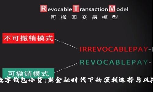 解锁数字钱包小贷：新金融时代下的便利选择与风险管理